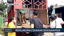 Penyelundupan 3.726 Ekor Burung ke Pulau Jawa Digagalkan Polisi