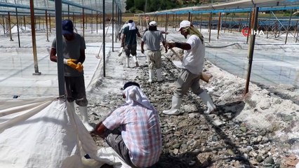 Bunaltıcı sıcaklar 3 bin yıllık 'Kemah tuzu'na bereket getirdi