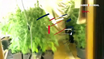 Beylikdüzü'nde deniz manzaralı villa, uyuşturucu serası çıktı