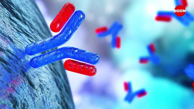 Explained: How Effective is Monoclonal Antibodies Therapy for COVID-19 | BOOM | Covid19 India