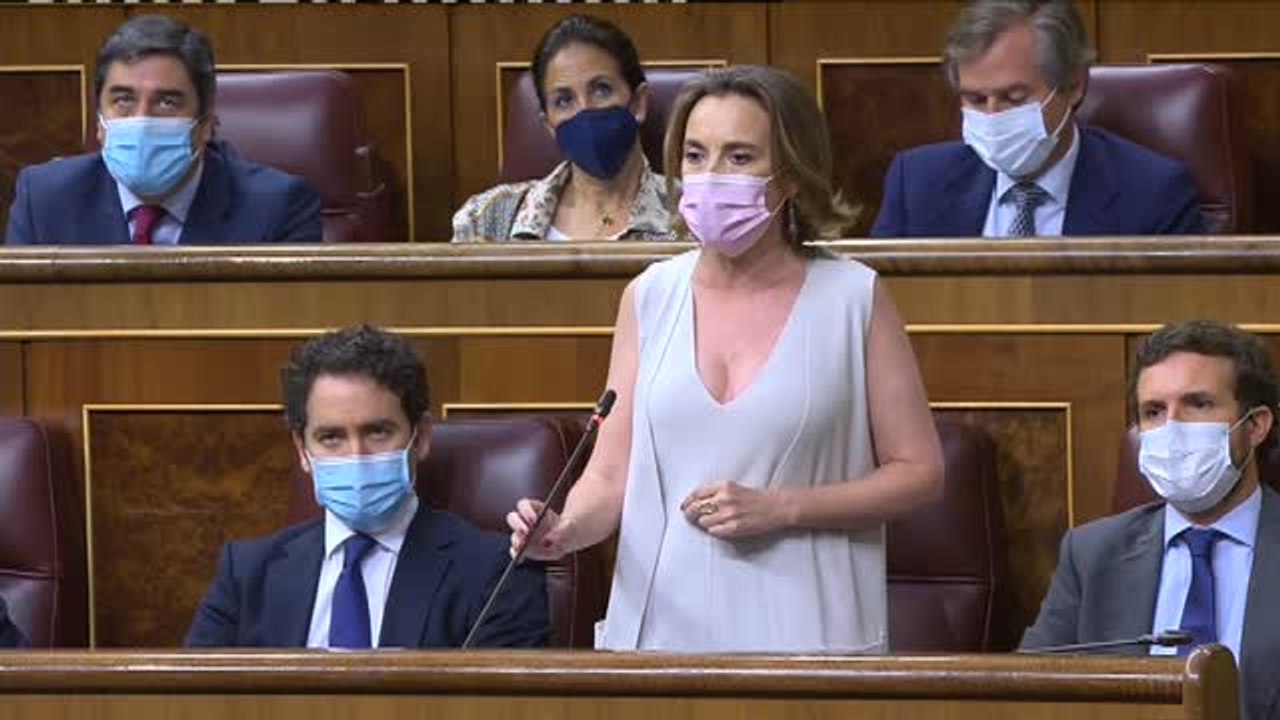 Gamarra: "La hemeroteca de los engaños del Gobierno podría llenar la Biblioteca de Alejandría"