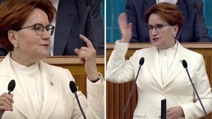 Parti grubunda konuşan Akşener'in kara sinekle mücadelesi: Acaba nereden geldi?