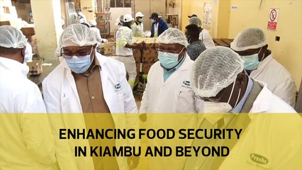 Enhancing food security in Kiambu and beyond