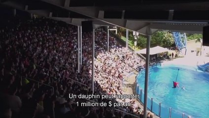 The Cove La baie de la honte Film Documentaire (2009)