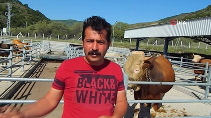 - Posof hayvan pazarı yeniden açıldı