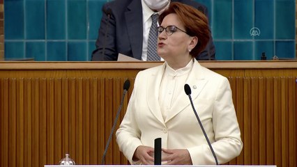 TBMM - Akşener: 'Çevreyle, doğayla dost olmayan bir büyüme ve kalkınma modelini reddediyoruz'