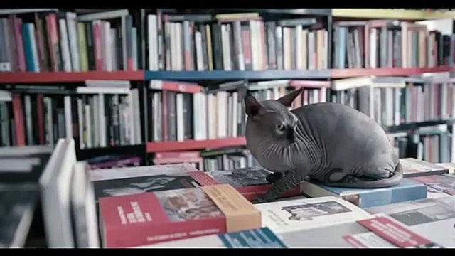 Tráiler del documental Nueve Sevillas , codirigido por Pedro G. Romero y Gonzalo García Pelayo, estreno en cines en noviembre 2021