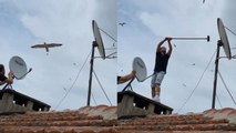 Martılar anten tamircisini çatıda rahat bırakmadı