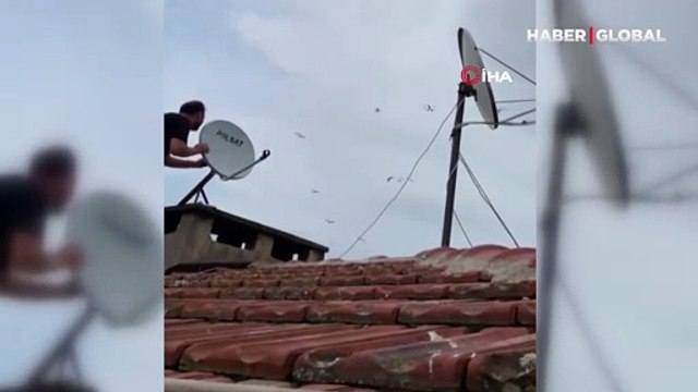 Çatıya çıkan tamircilere martı engeli! Zorlu anten tamiri kamerada