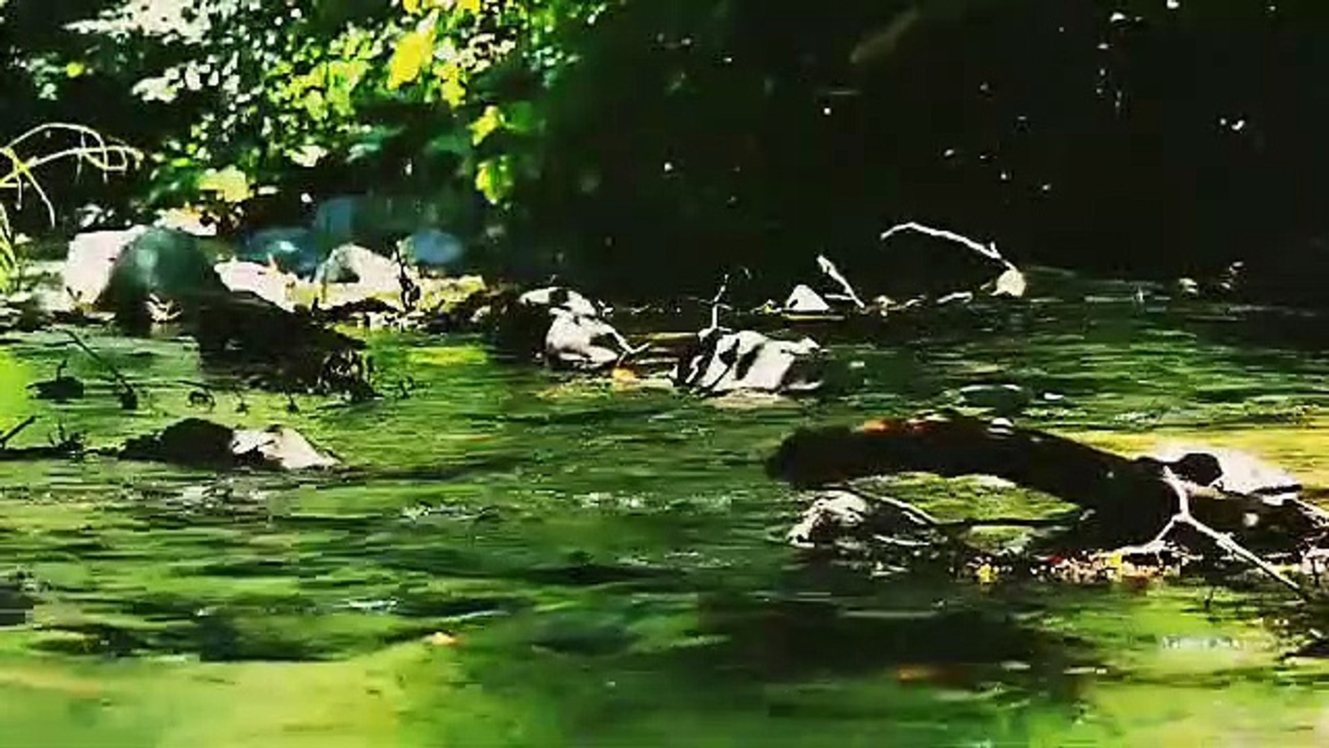 ⁣Relaxing Music Beautiful Piano Music, Nature, Sleep Music, My YouTube Relaxing & Meditation Musi