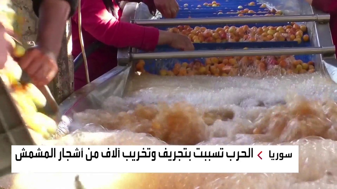 كيف دمرت الحرب في سوريا صناعة "قمر الدين"؟
