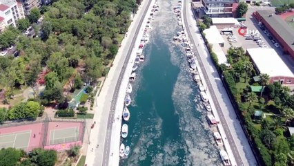 Kurbağalıdere de deniz salyası ile kaplandı