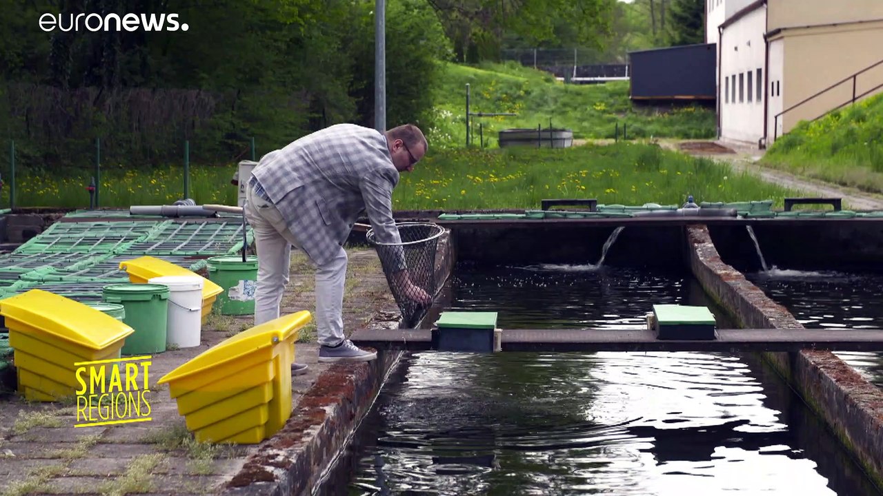 Les insectes, potentielle source durable de protéines pour les animaux
