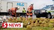 Overturned lorry with durian causes traffic crawl