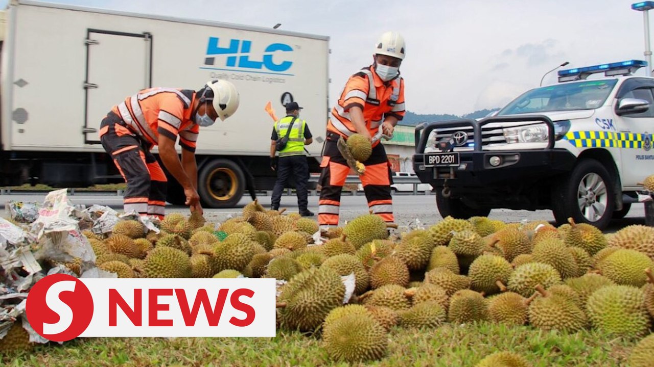 Overturned lorry with durian causes traffic crawl