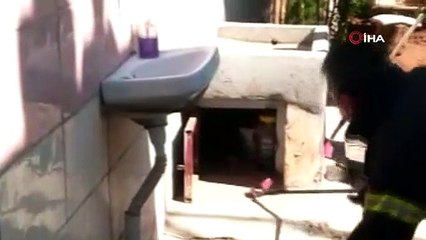 Yılan, kaçacak yer bulamayınca itfaiye erinin üzerine atladı