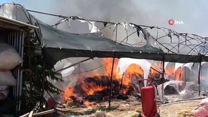 Süs bitkileri serasındaki yangın korkuttu