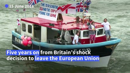 Brexit: Five years on, divisions remain
