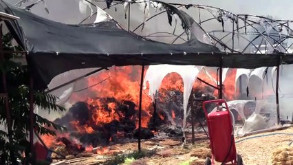 ANTALYA - Kuru çiçek serasında çıkan yangın hasara neden oldu