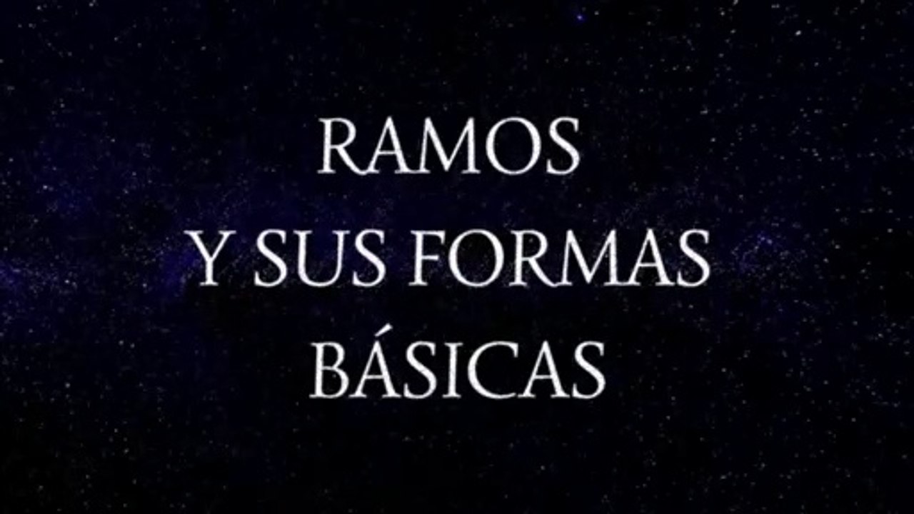 FORMAS Y ESTRUCTURAS BÁSICAS PARA RAMOS Y TOCADOS[1]