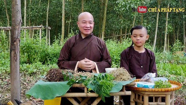 Hiệu Quả Bài Thuốc Trị Xơ Gan Cổ Trướng / Ascites Cirrhosis - Liver Disease Lương Y. Thích Trí Huệ