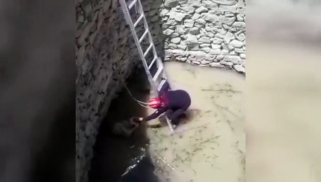 KAYSERİ - Kuyuya düşen köpek itfaiye ekiplerince kurtarıldı