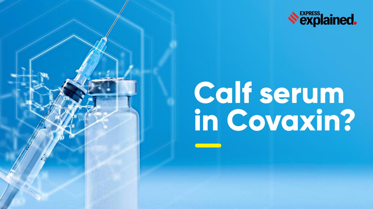 Calf serum in Covaxin?