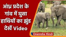 Chittoor Elephant Viral Video: Andhra Pradesh के गांव में घुस आया हाथियों का झुंड | वनइंडिया हिंदी