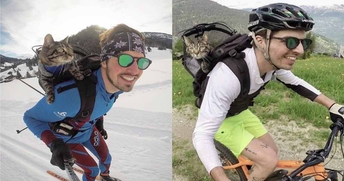 Inséparables, Rémy et son chat Cathode partagent une belle complicité ainsi que le même goût pour les voyages