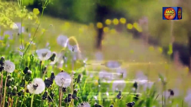 Changing Times hosts Lynn Morris & Dawn Blackard with guest Kendall Qualls Critical Race Theory