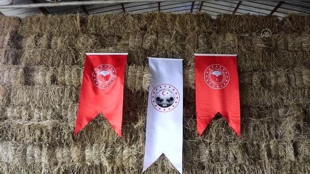 KIRKLARELİ - Halkalı-Kapıkule demir yolu hattında hafriyat dökümünde kullanılan merada yetiştirilen yem bitkileri besicilere dağıtıldı