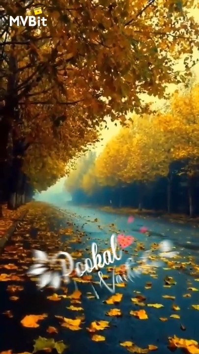 what app stutas