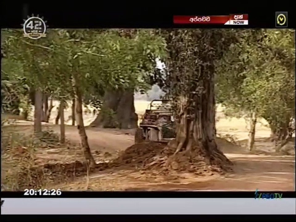 Appachchi (44) 23-06-2021