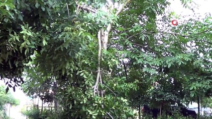 Biga’da aniden çıkan fırtına çatı uçurdu