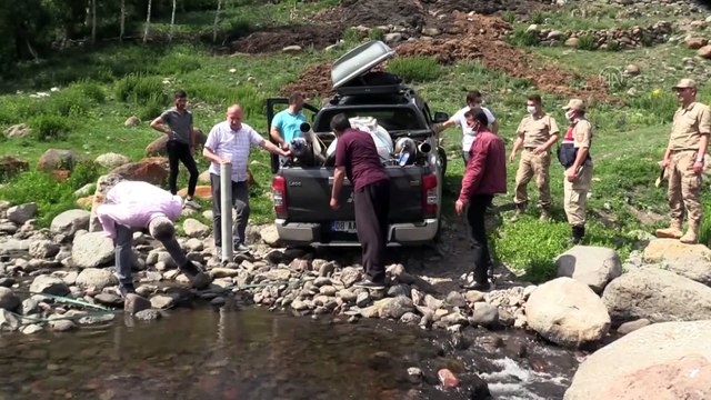 ARDAHAN - 35 bin kırmızı benekli alabalık dereye bırakıldı