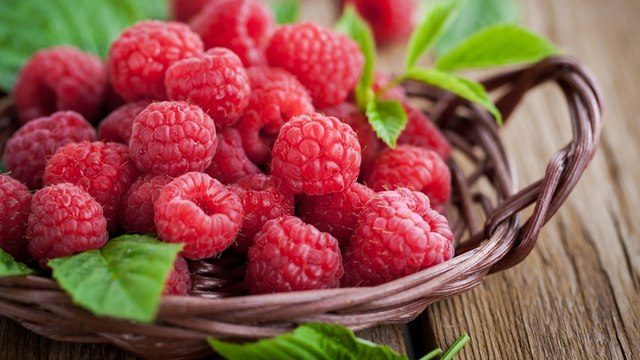 Selbstgemachte Himbeer-Schoki-Frühlingsrollen! Einfach lecker!