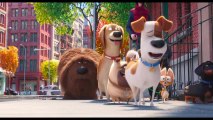 'PETS' Der Trailer zum neuen Animationsfilm in HD