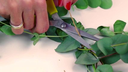 DIY Adventskranz basteln: Dieser Eukalyptus-Kranz ist echt cool!