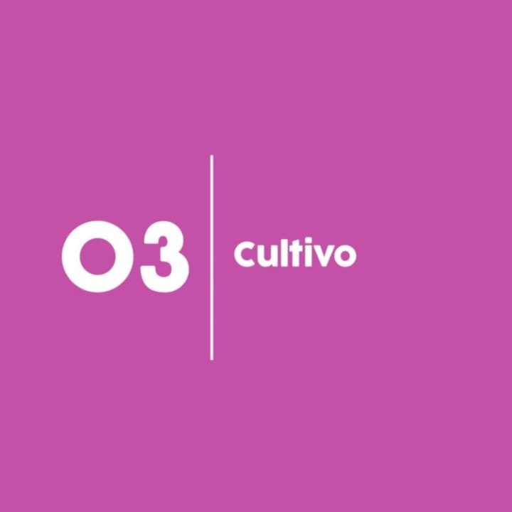 cuidados orquídea