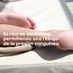 chocolate negro beneficios