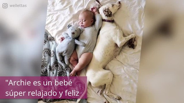 Este perro y este bebé son inseparables, ¡y más en la siesta!