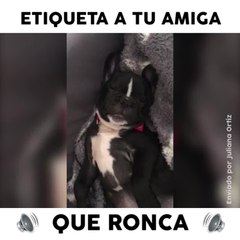 Comparte si tu también tienes una amiga que ronca