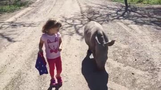 Esta pequeñaja pasea con alguien muy especial: ¡un rinoceronte!