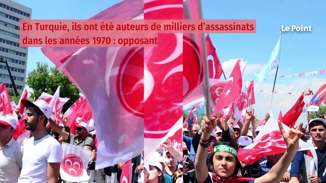 Qui sont les Loups gris ?