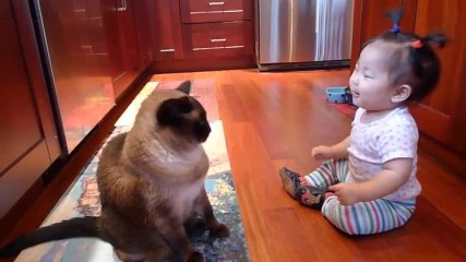 ¡Esta pequeñaja parece hablar el lenguaje de los gatos!