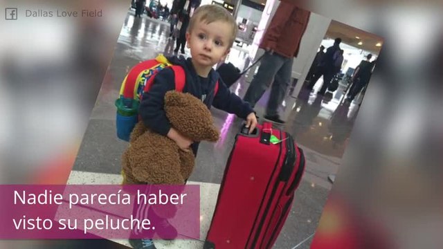 ¡Ponen patas arribas un aeropuerto para encontrar un oso de peluche!