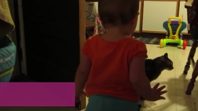 Una niña y su gato: ¿de qué estarán hablando