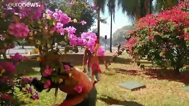 BRASIL | Batalla con flechas y gases lacrimógenos frente al parlamento