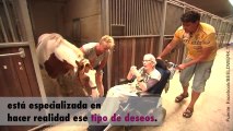 ¡Esta anciana cumple su sueño de volver a montar a caballo!