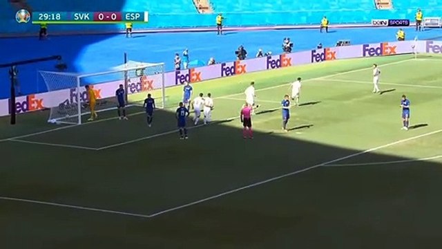 اراد إخراجها فأدخلها :حارس مرمى منتخب سلوفينيا يسجل ضد مرماه بطريقة غريبة